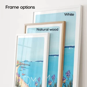 James Colmer Art Frame Options
